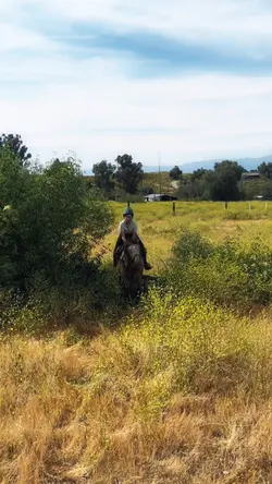 Catapulted🤪 