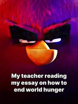 Terence Meme