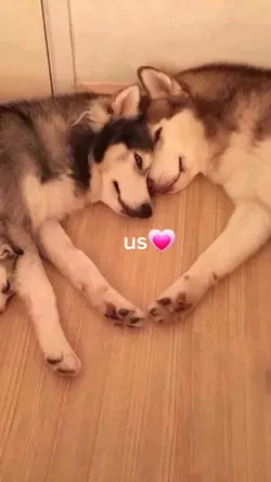 us