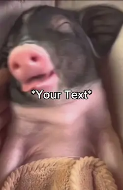 Sleep Tight Piggie