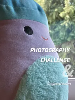 The Photographer….