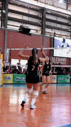Voleibol 