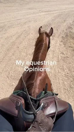 My opinions!