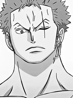 Anime Template-Zoro