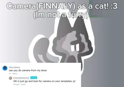 Camera cat 