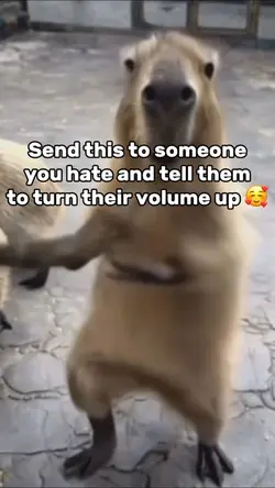 Bff prank