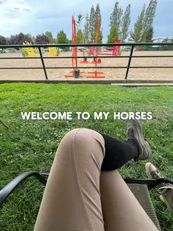 introduce my horses💋