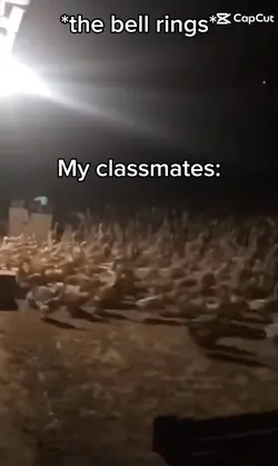Bell meme