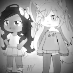 ocs de cada ano