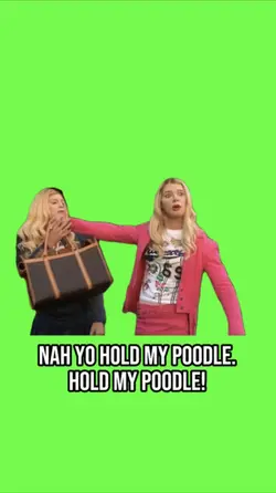 Hold My Poodle