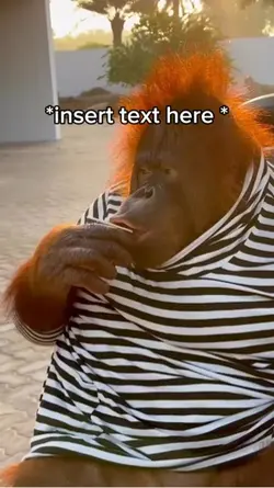 Monkey Drinking Meme