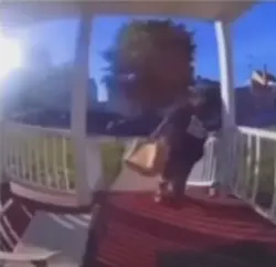 falling meme
