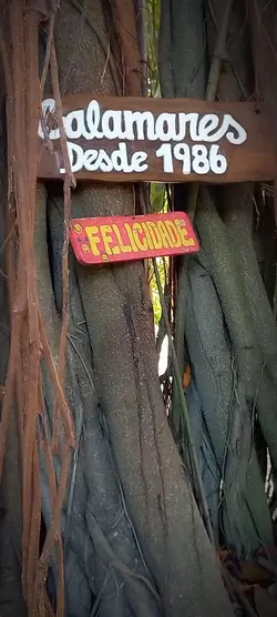 Ambiente 