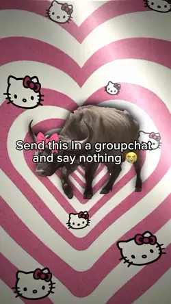 Kawaii cow