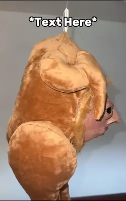 Turkey meme 