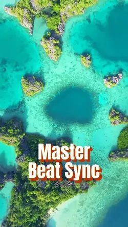 4 Clip Master Sync