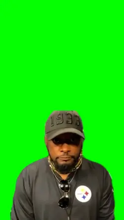 Mike Tomlin Meme 
