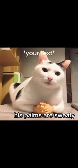 Eminem cat