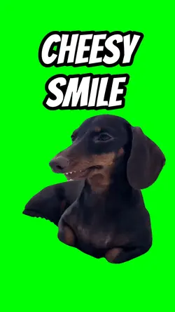 Cheesy Smile 