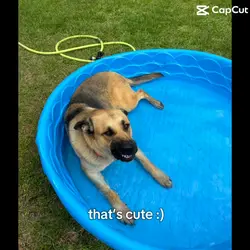 He’s a gianttt!!