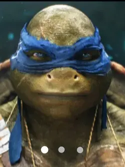Mbappe the turtle