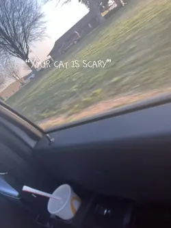 My cat???