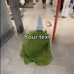 The gnome