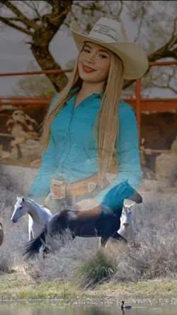 Trend cavalos