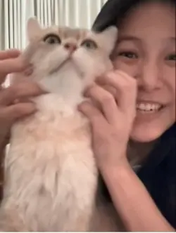 Asian woman eats cat