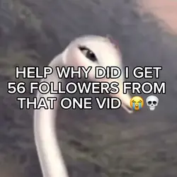 HELP WHAT