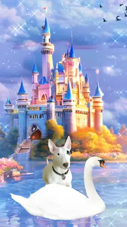 Castle Fantasy Swan