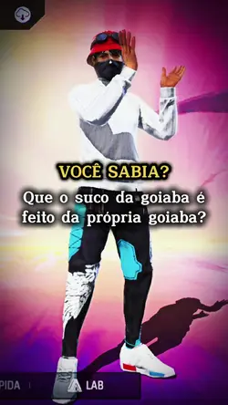 NOVO MODELO VIBE