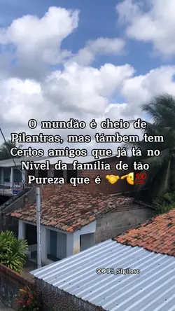 Amigo irmão 