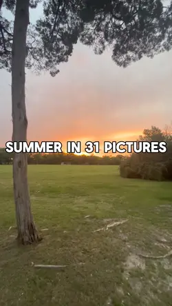 Summer in 31 clips