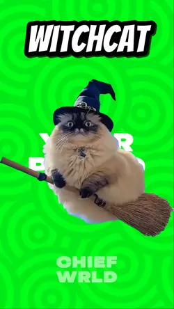 Witchcat