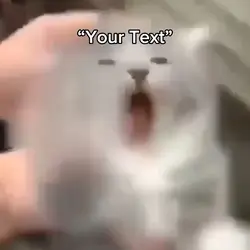 Rip Cat
