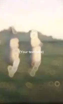 Dancing cows