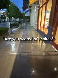 i love snakesss