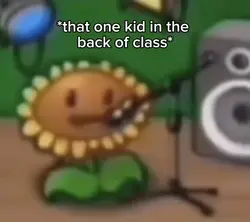 They always German 