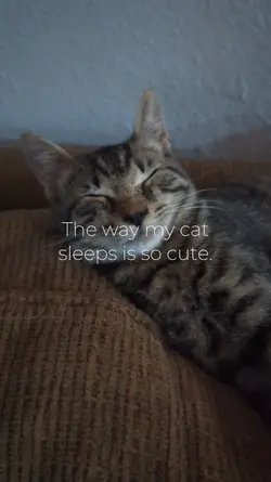 So cute