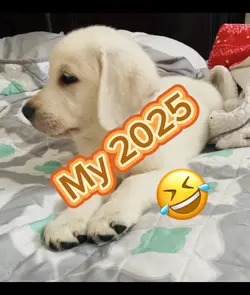 My 2025