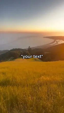 Fields 