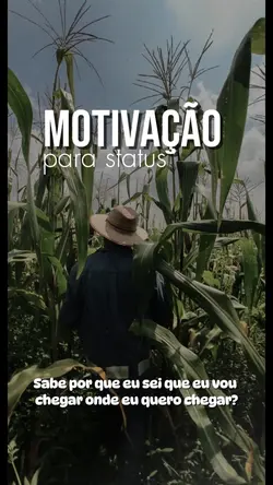 Motivação status 