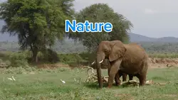 Nature
