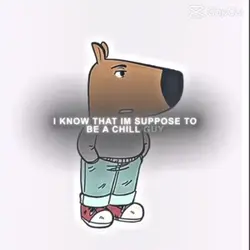 Chill guy