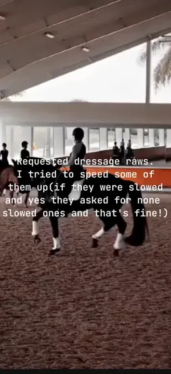 dressage raws 