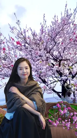 Peach blossoms bloom