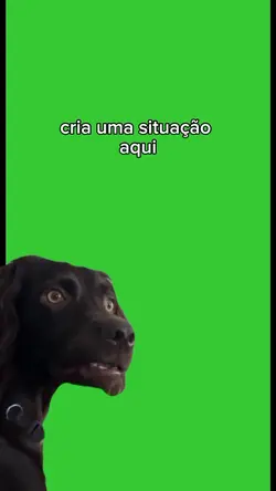cachorro confuso