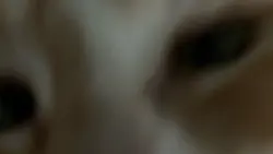 Demon Slaye