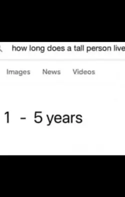 Rat 3